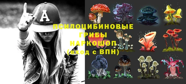 ECSTASY Абаза