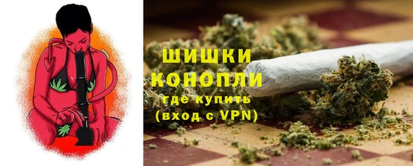 тгк Протвино