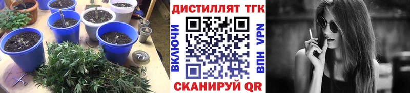OMG как войти  цена   Кириллов  дарк нет телеграм  ТГК Wax 